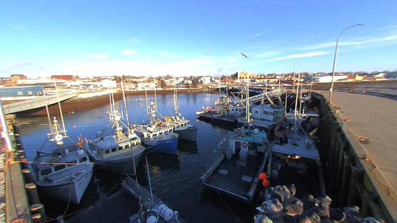 Lobster Rock Wharf East