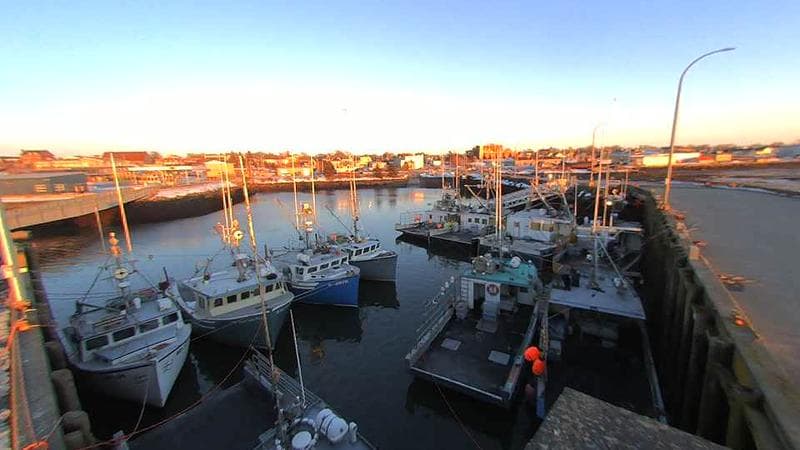 Lobster Rock Wharf East
