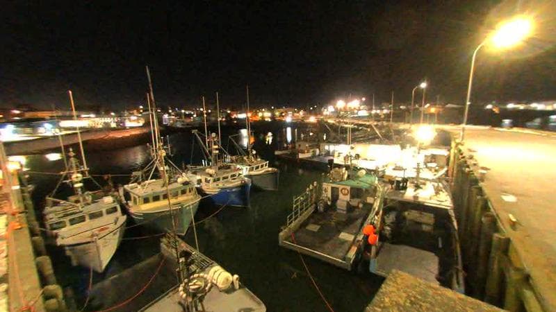 Lobster Rock Wharf East