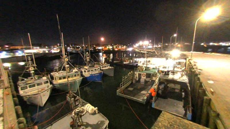 Lobster Rock Wharf East