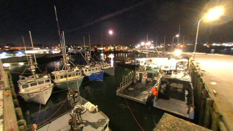 Lobster Rock Wharf East