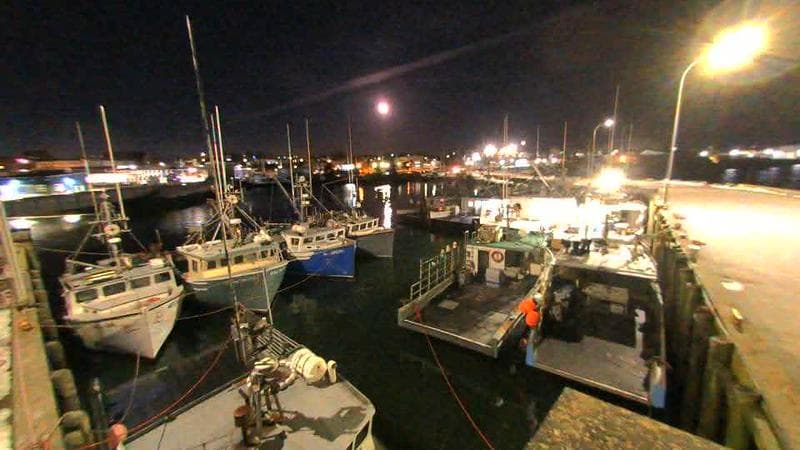 Lobster Rock Wharf East