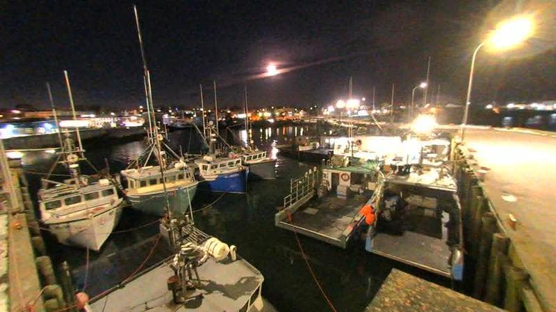 Lobster Rock Wharf East