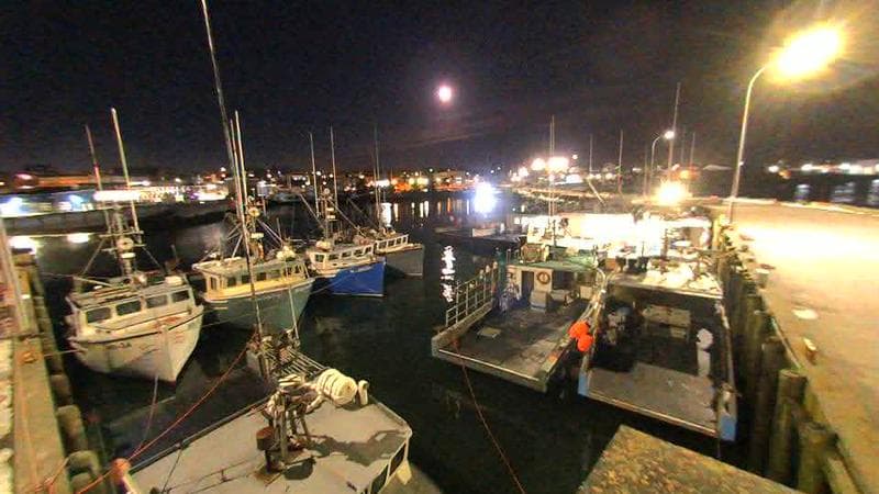 Lobster Rock Wharf East