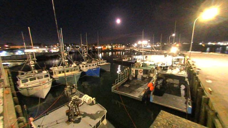 Lobster Rock Wharf East