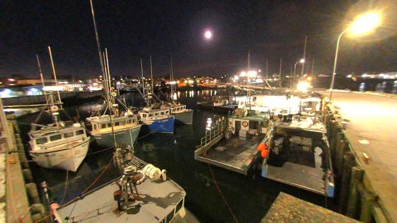 Lobster Rock Wharf East