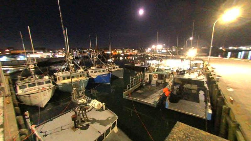 Lobster Rock Wharf East