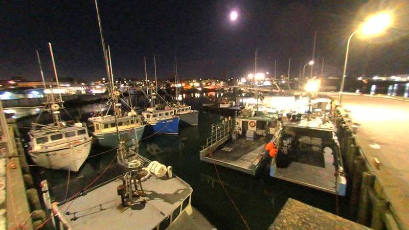 Lobster Rock Wharf East