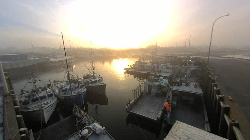 Lobster Rock Wharf East