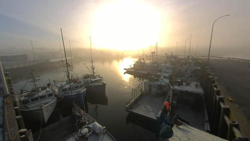 Lobster Rock Wharf East