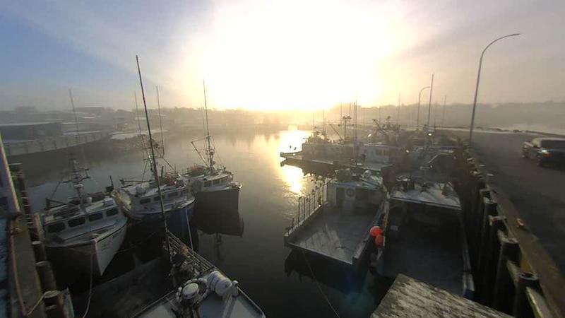 Lobster Rock Wharf East