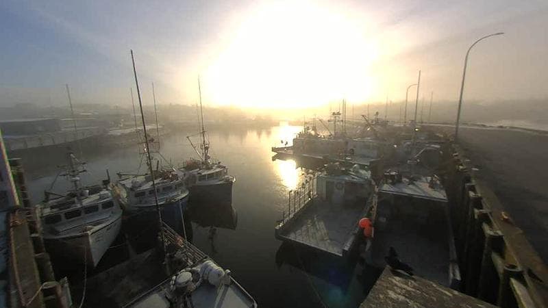 Lobster Rock Wharf East