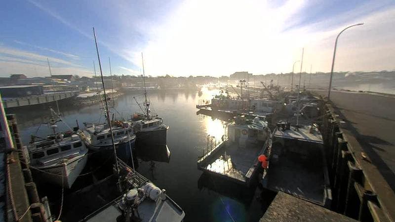 Lobster Rock Wharf East
