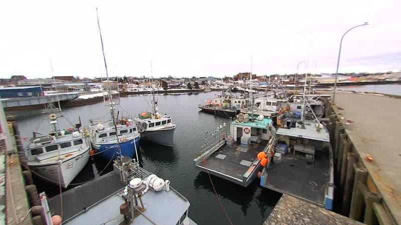 Lobster Rock Wharf East