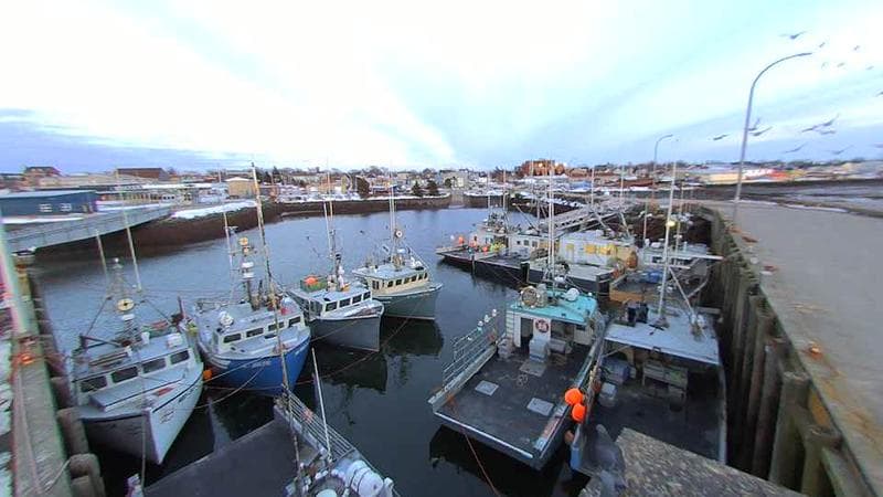 Lobster Rock Wharf East