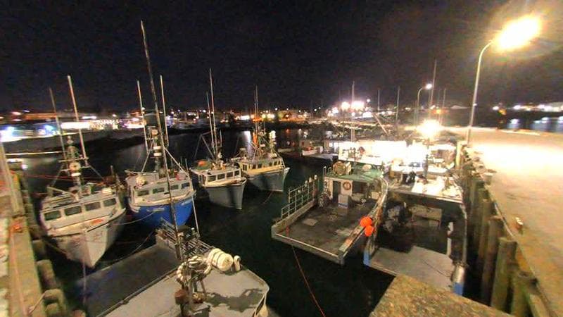 Lobster Rock Wharf East