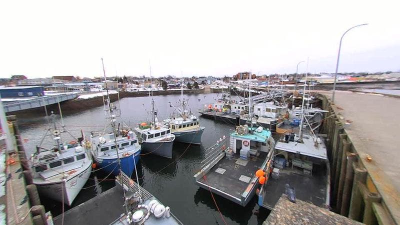 Lobster Rock Wharf East