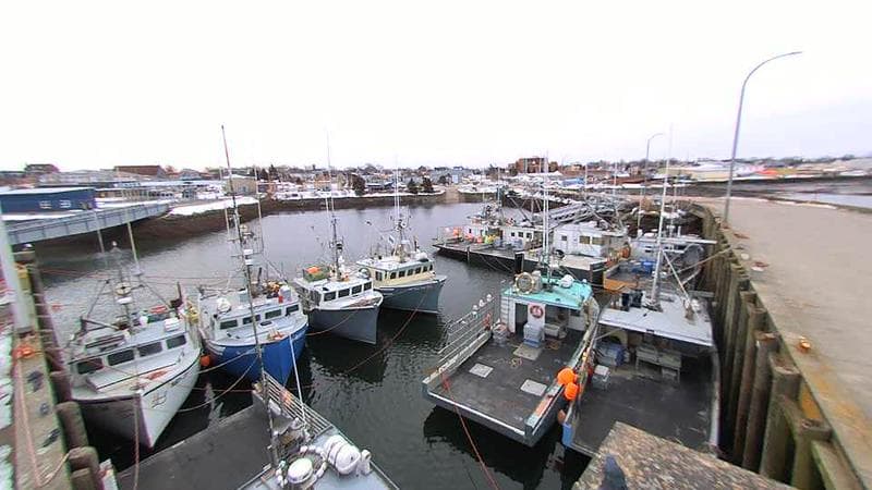 Lobster Rock Wharf East