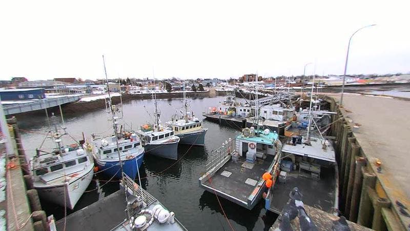 Lobster Rock Wharf East