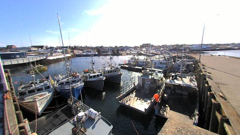 Lobster Rock Wharf East