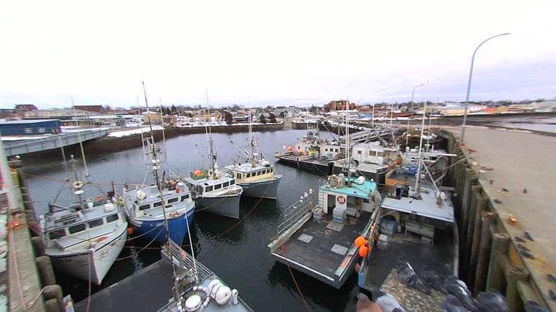 Lobster Rock Wharf East