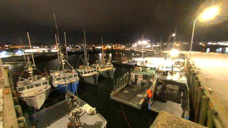 Lobster Rock Wharf East