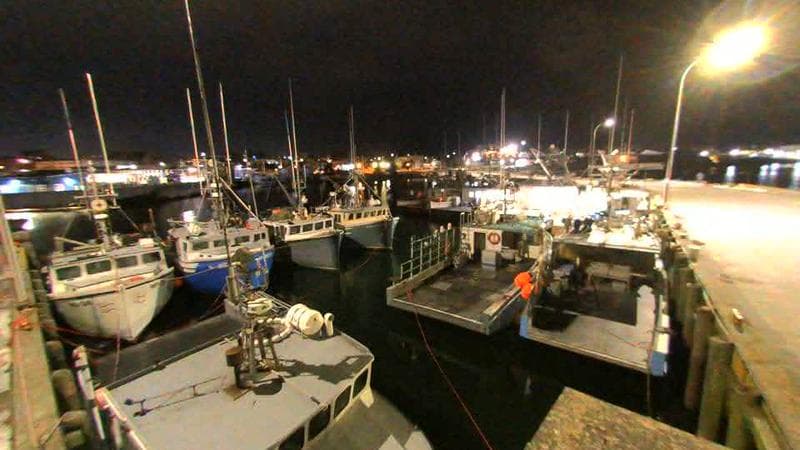 Lobster Rock Wharf East