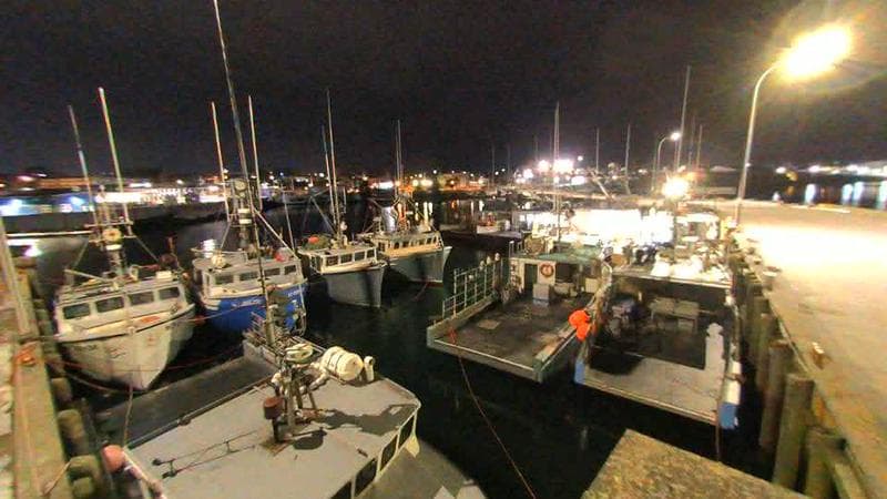 Lobster Rock Wharf East