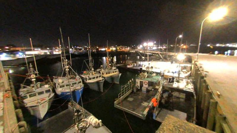 Lobster Rock Wharf East