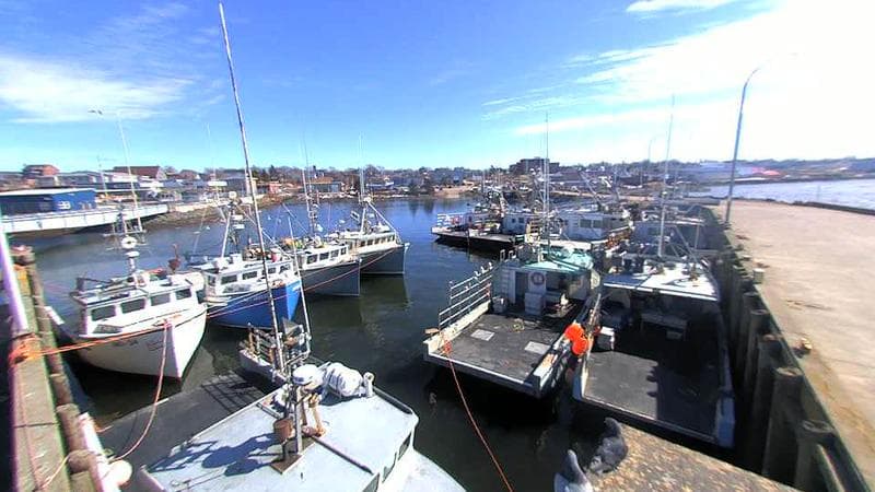 Lobster Rock Wharf East