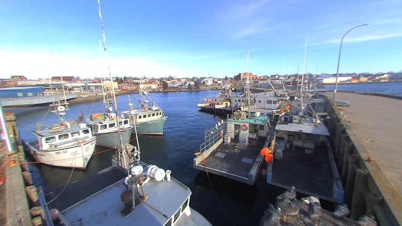 Lobster Rock Wharf East