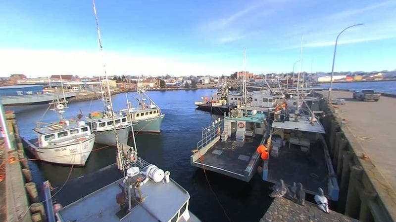 Lobster Rock Wharf East