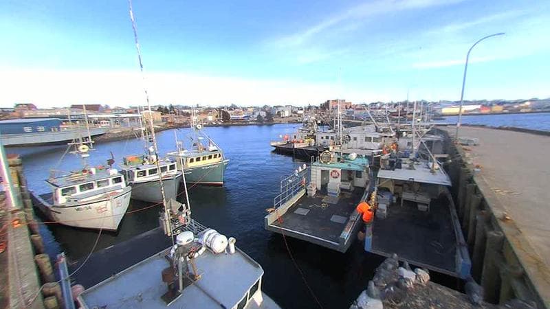 Lobster Rock Wharf East