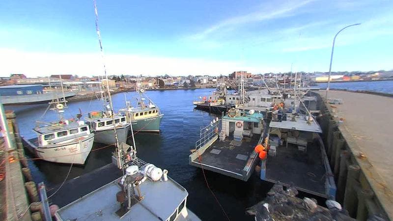Lobster Rock Wharf East