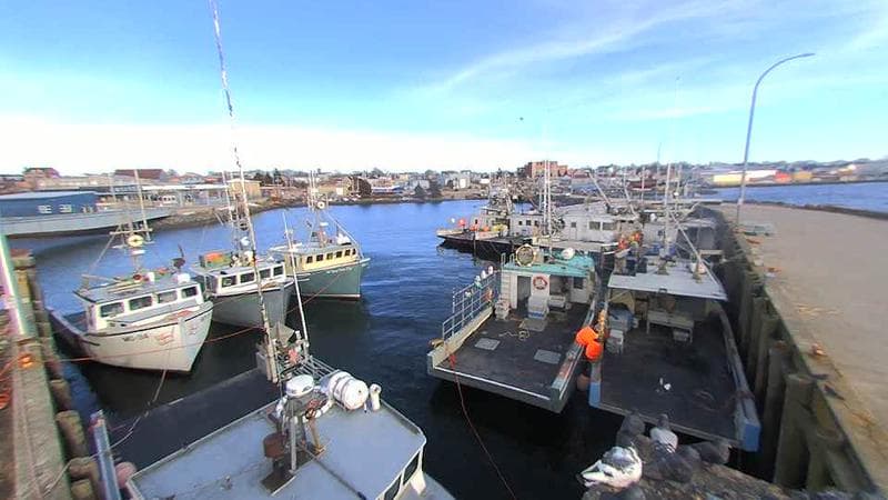 Lobster Rock Wharf East