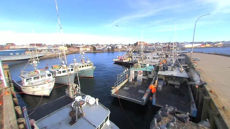 Lobster Rock Wharf East