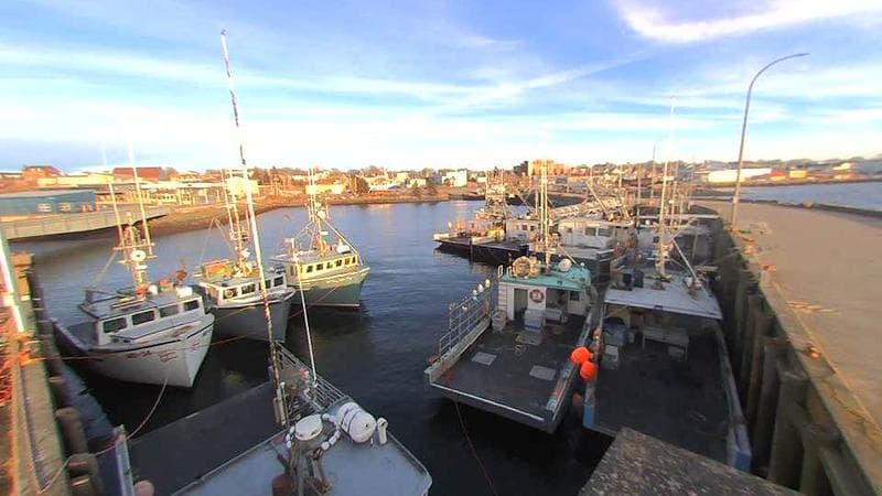 Lobster Rock Wharf East