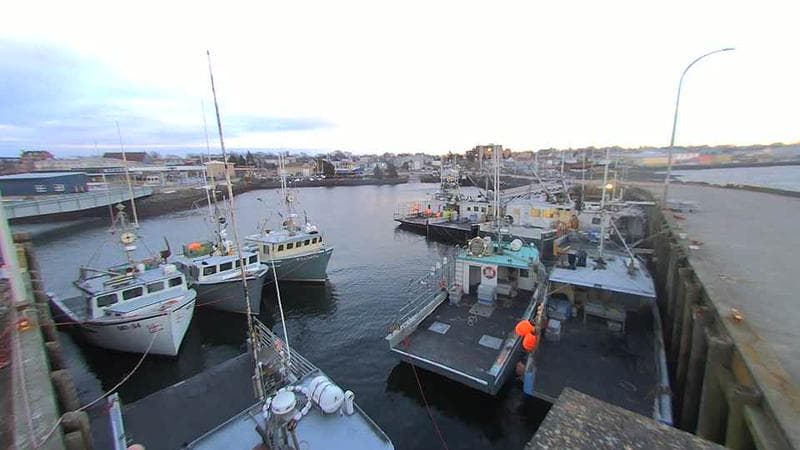 Lobster Rock Wharf East
