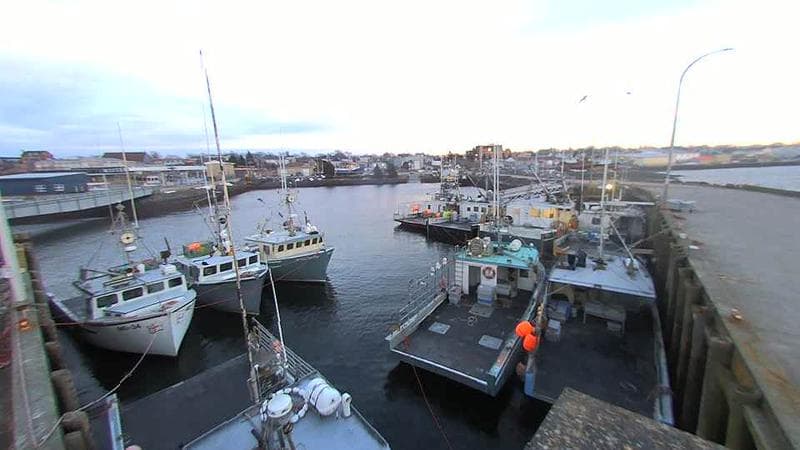 Lobster Rock Wharf East