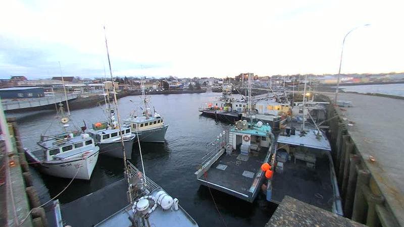 Lobster Rock Wharf East