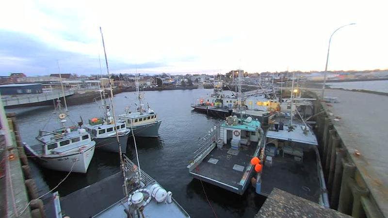 Lobster Rock Wharf East