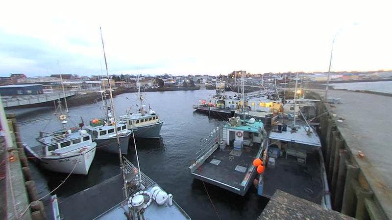 Lobster Rock Wharf East