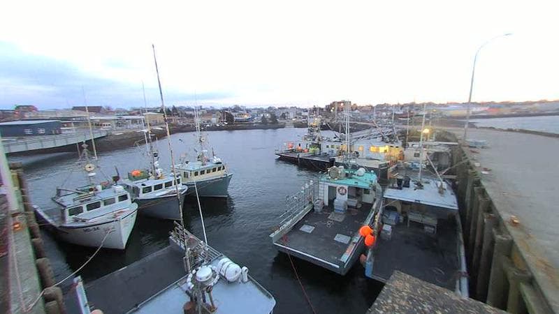 Lobster Rock Wharf East