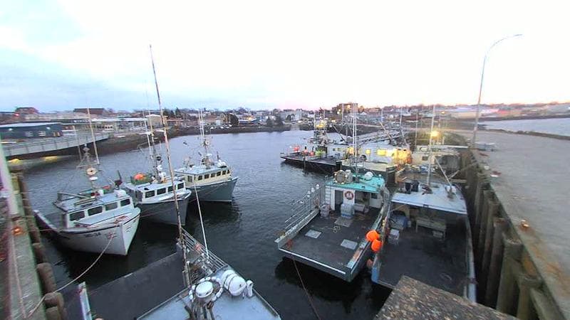 Lobster Rock Wharf East
