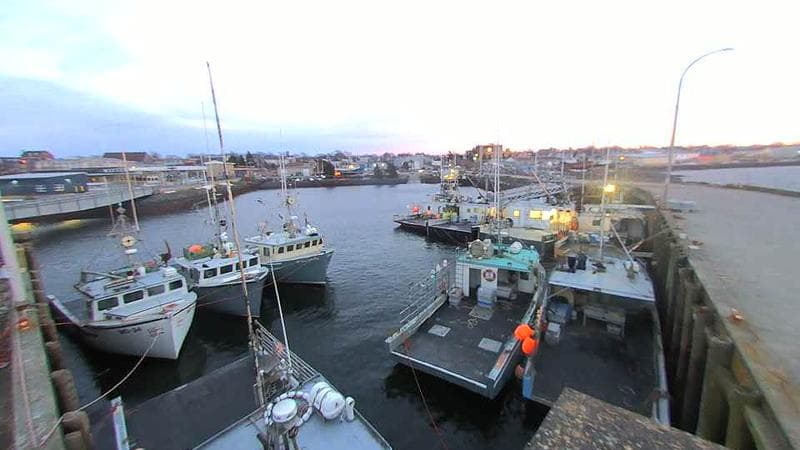Lobster Rock Wharf East