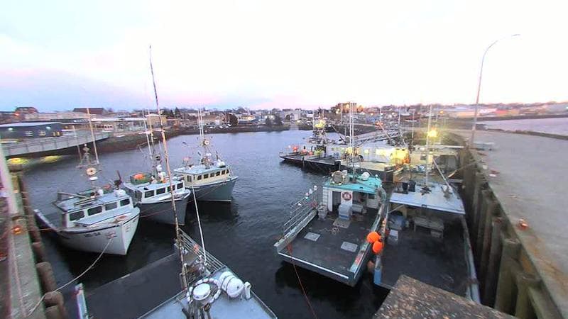 Lobster Rock Wharf East