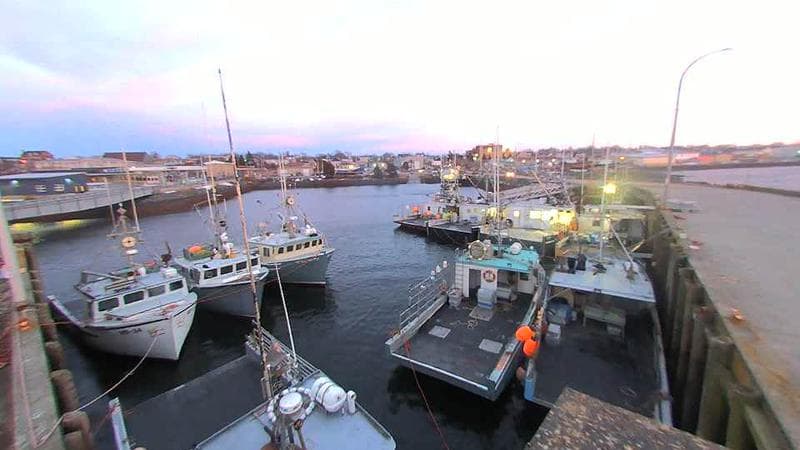 Lobster Rock Wharf East