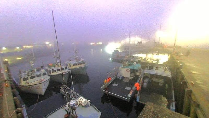Lobster Rock Wharf East