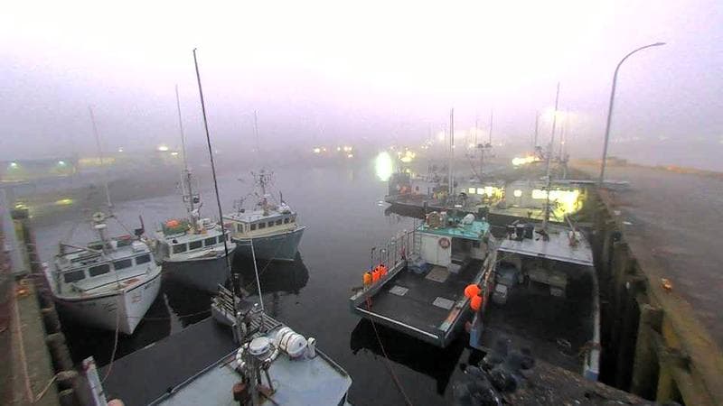 Lobster Rock Wharf East