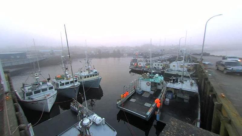 Lobster Rock Wharf East